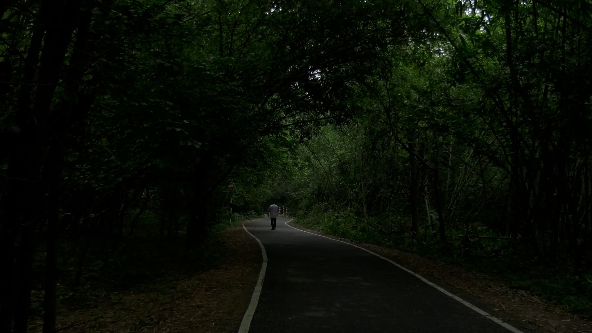 Samadhi