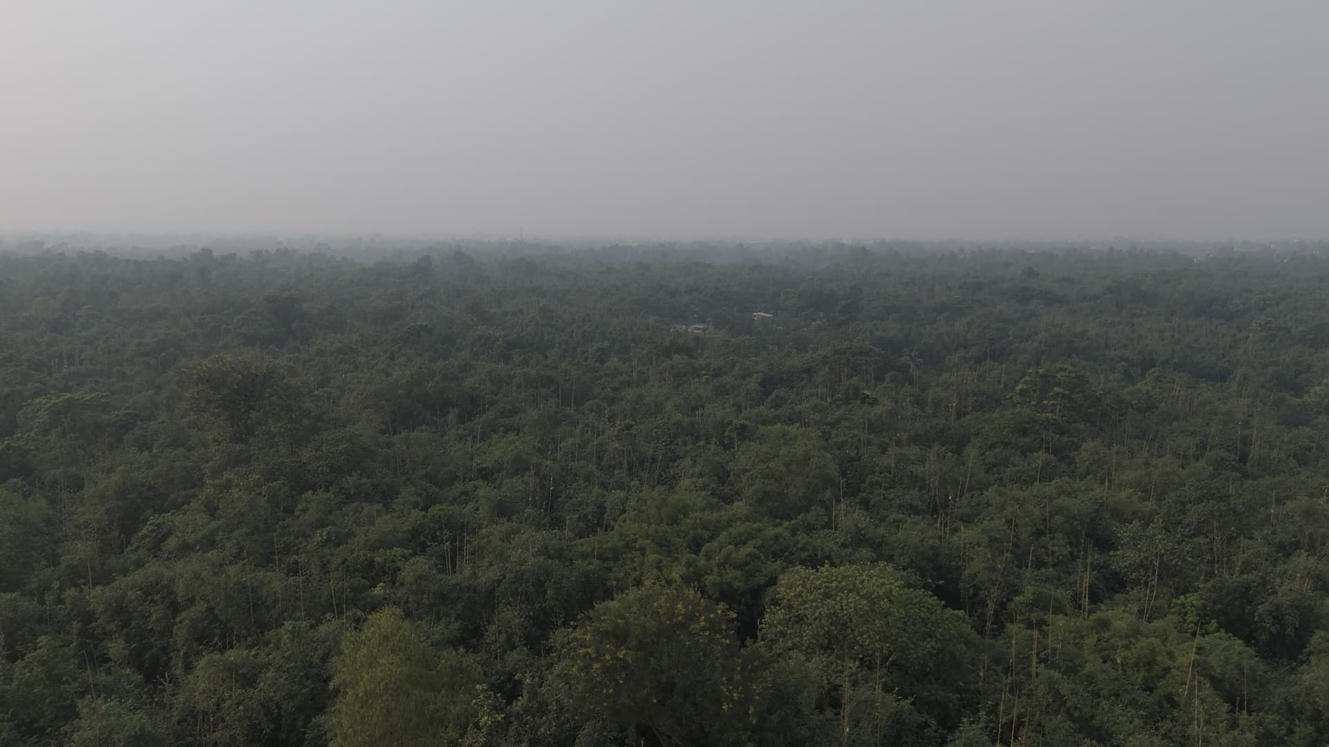 Gondogram Bamboo Sanctuary